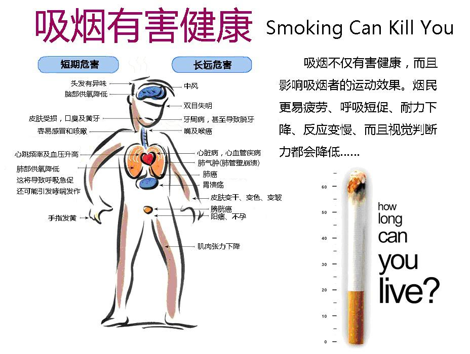 圖片19.jpg